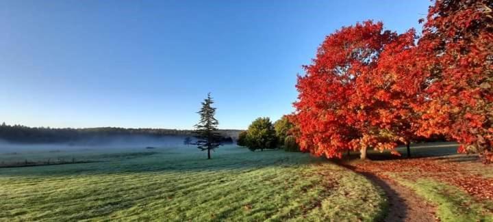 Отель Roffey Park Venue Хоршам Экстерьер фото
